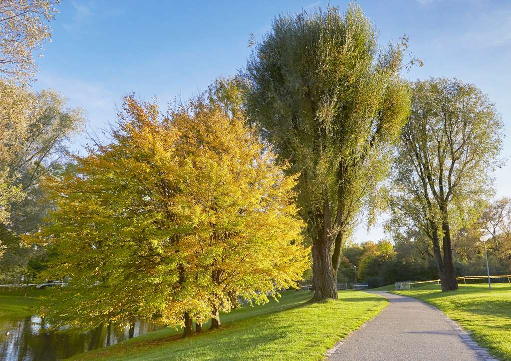 Living Hotel Am Olympiapark München Bekvemmeligheder billede